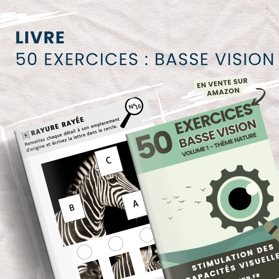LIVRE - EXERCICES BASSE VISION - Volume 1