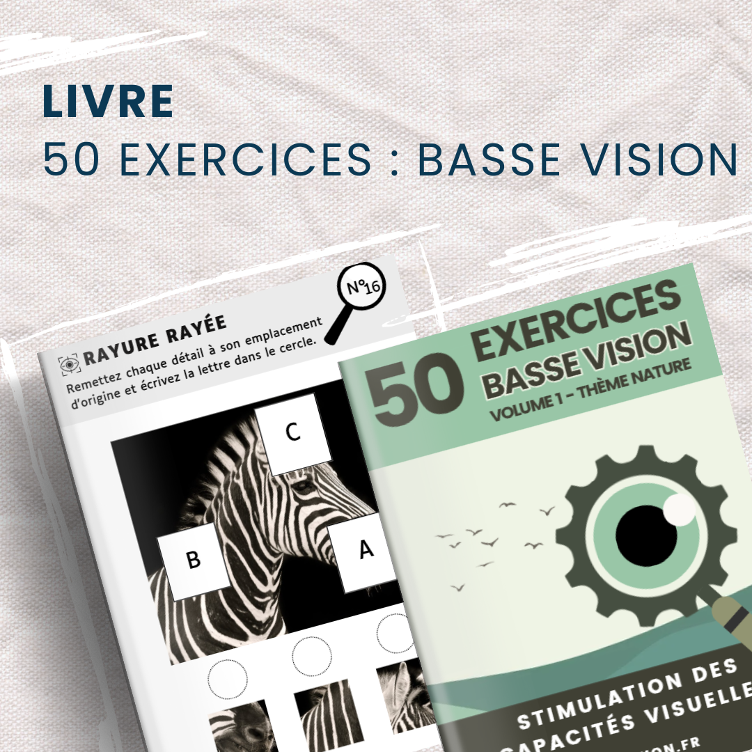 LIVRE - EXERCICES BASSE VISION - Volume 1
