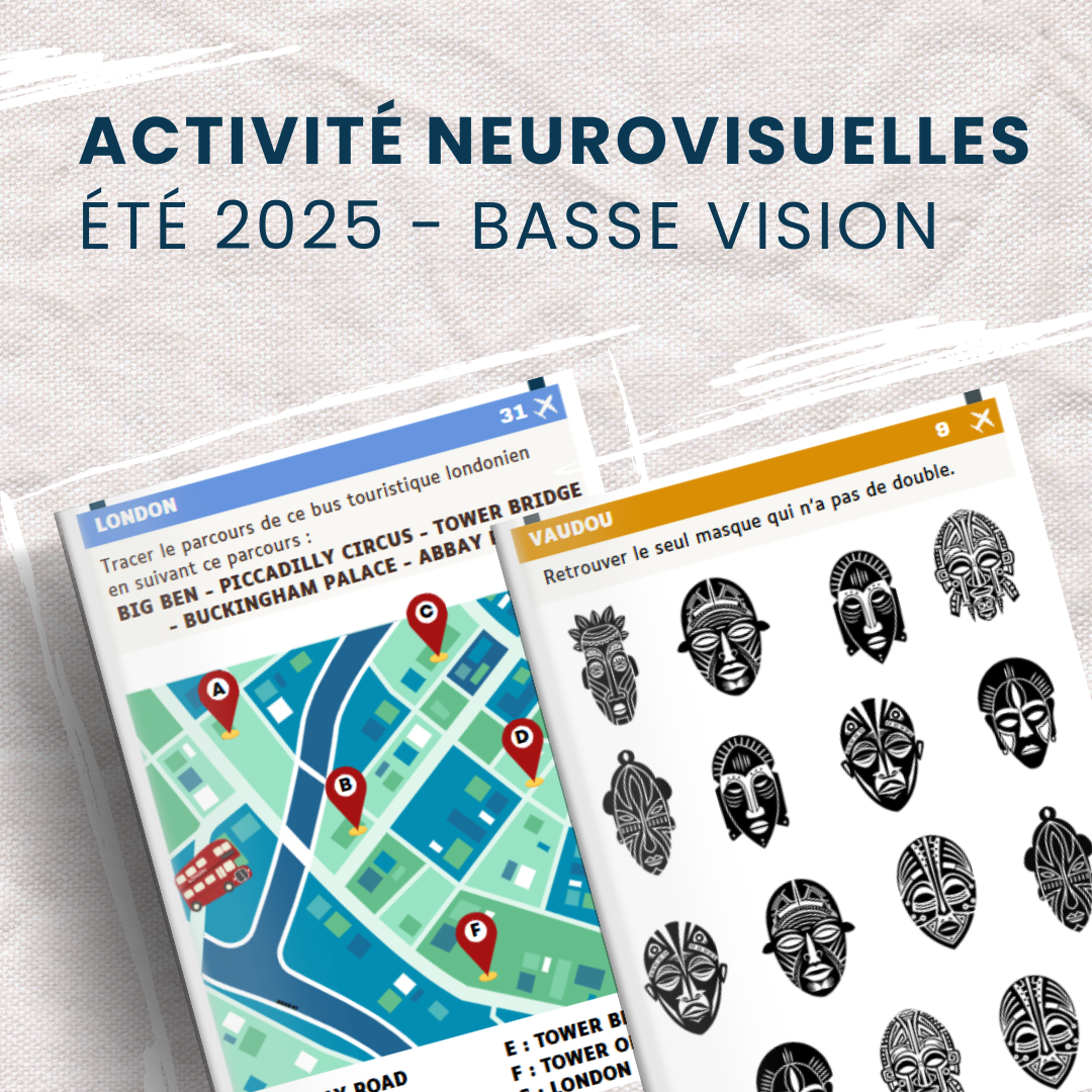 Tour du monde de la Basse Vision - Eté 2025