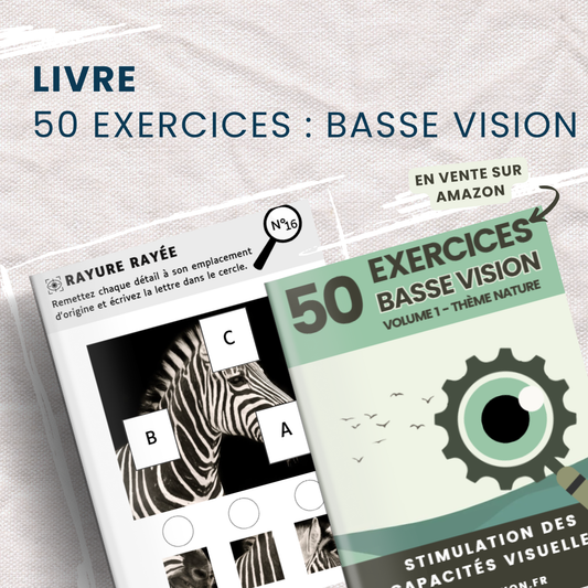 LIVRE - EXERCICES BASSE VISION - Volume 1